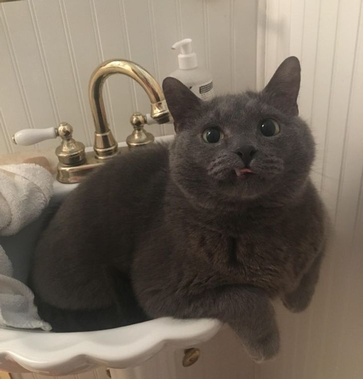 f8a187507cb798ee3c85bb5c9a