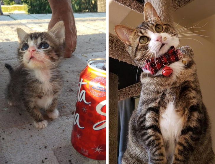 f8aae25cbda49c323568fb88fc