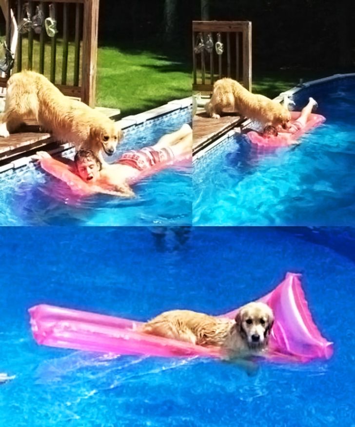 f8abcf5cd396f8cb679c0dc1b4