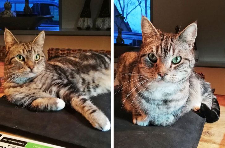 f8b341563fa7b558a7d33691c1