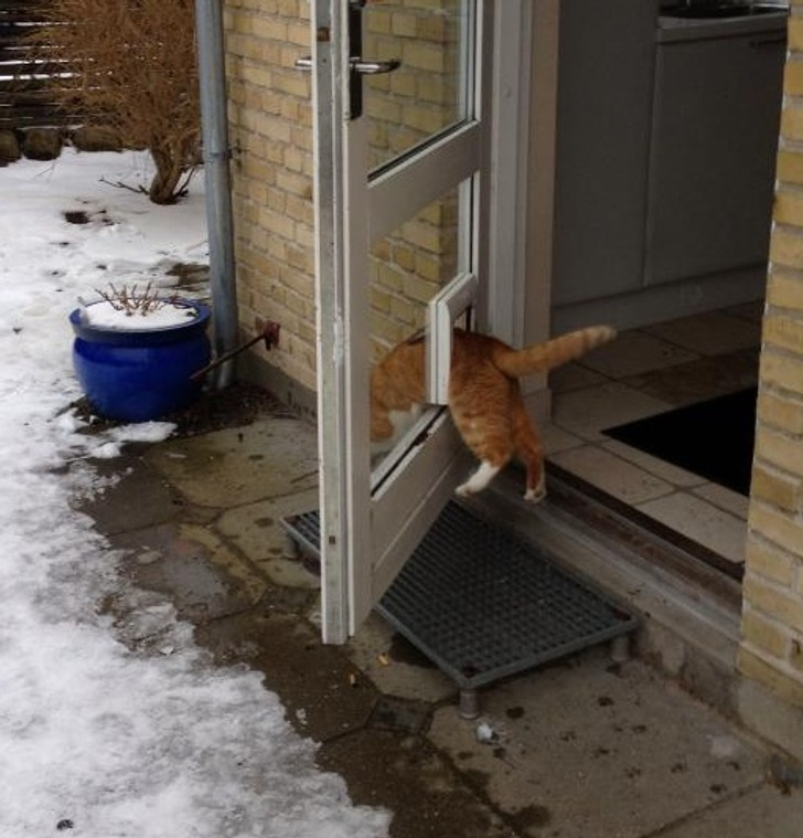 f8b6555054b5c50e60fe0dcbd7