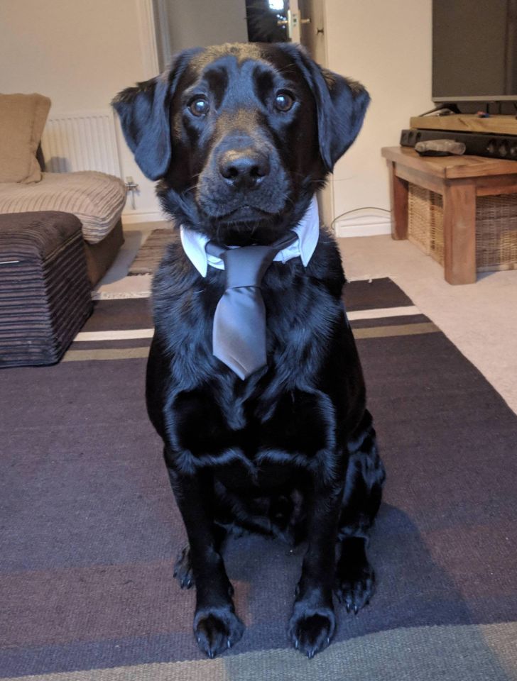 f8bb0956bc9f9585c61f7a13bd