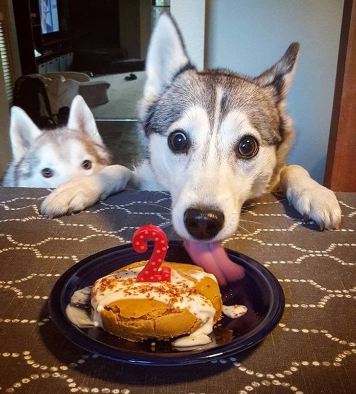 f8c3ce53afb7046aa2195fe569