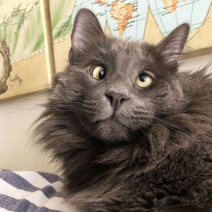 f8c7ae5426a91d9c7bad41cb38