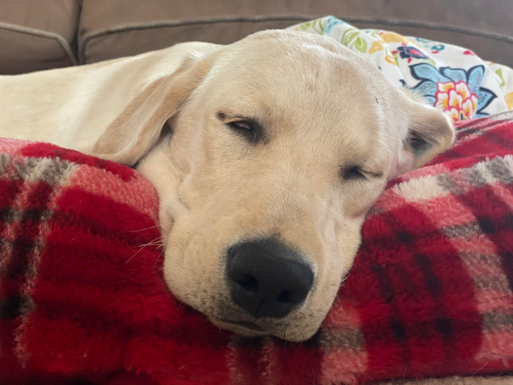 f8c9475205a126e55c47ef45ef f8c9475205a126e55c47ef45ef