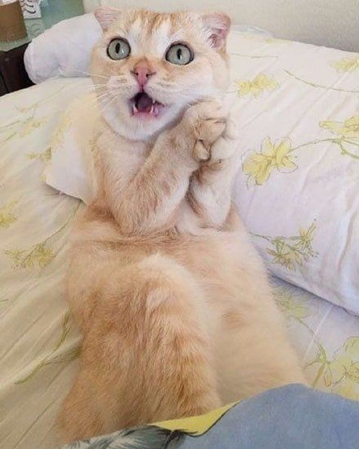 f8ca1b5c83a6a4d4755fd8b55c