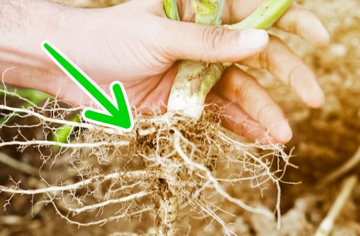 f8cb0d5231ae64e1157bcff5d0