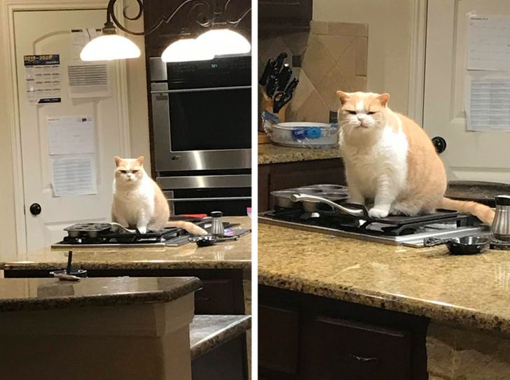 f8d25a5e9ab48be803672ad212