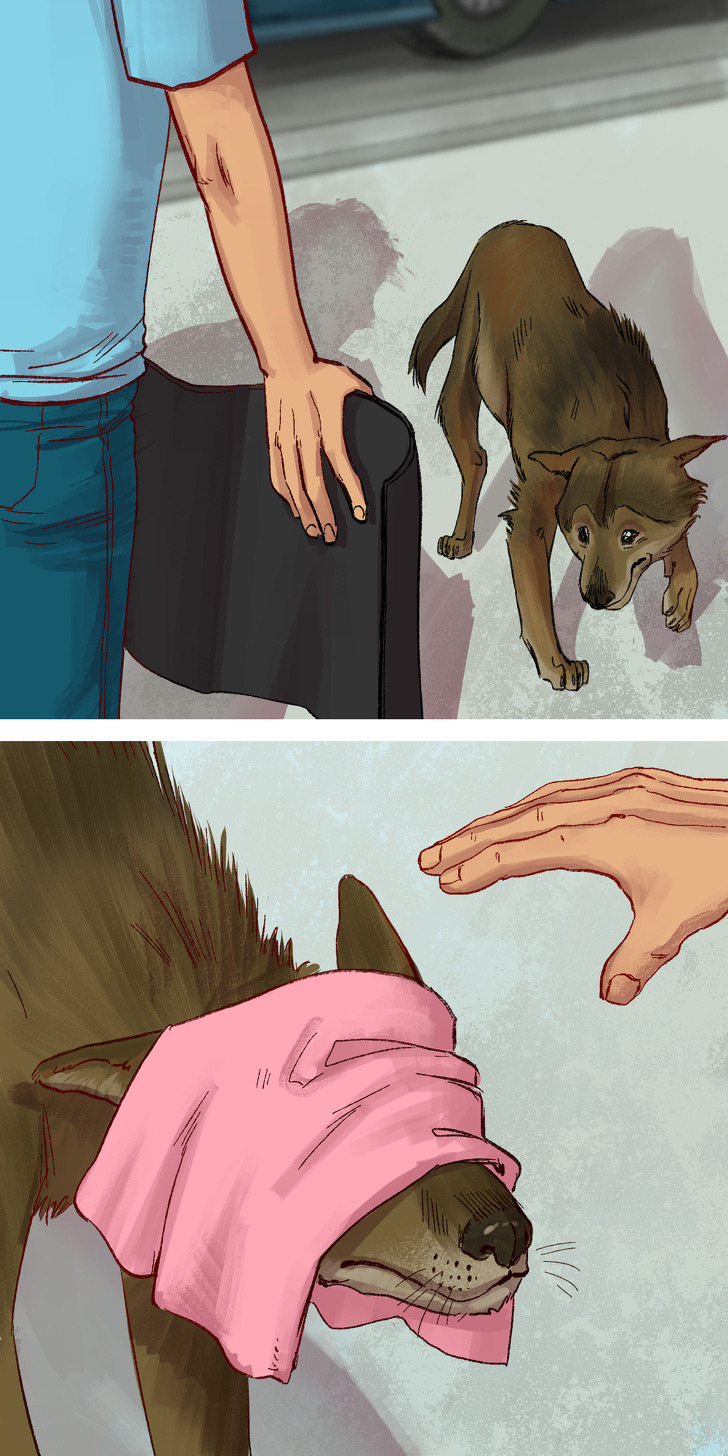 f8d71c57e1a89d6d22765b8002