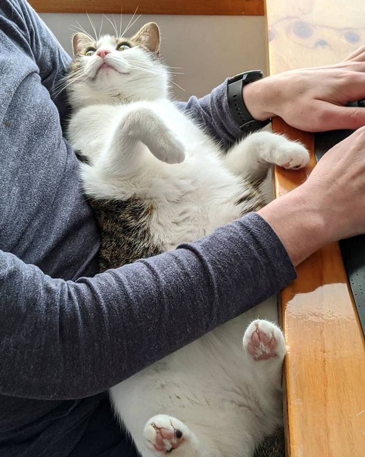 f8d85e5ab3a9218507fa42b24b