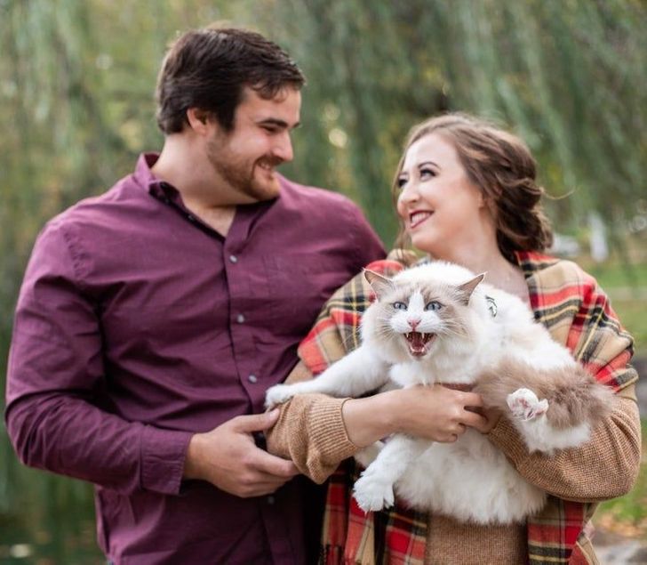 f8d92751768e946847f4d0db29