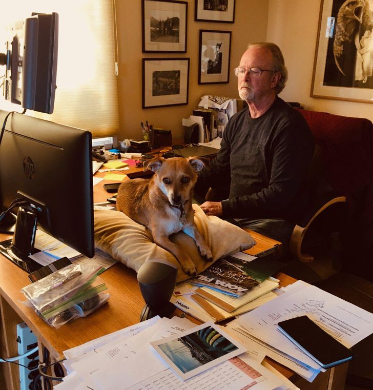 f8dc655df9a3fd099406ca7cef