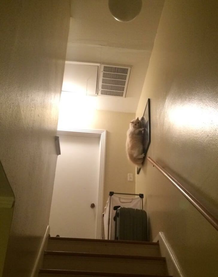 f8df5d55118cbbe3bfad140e0a