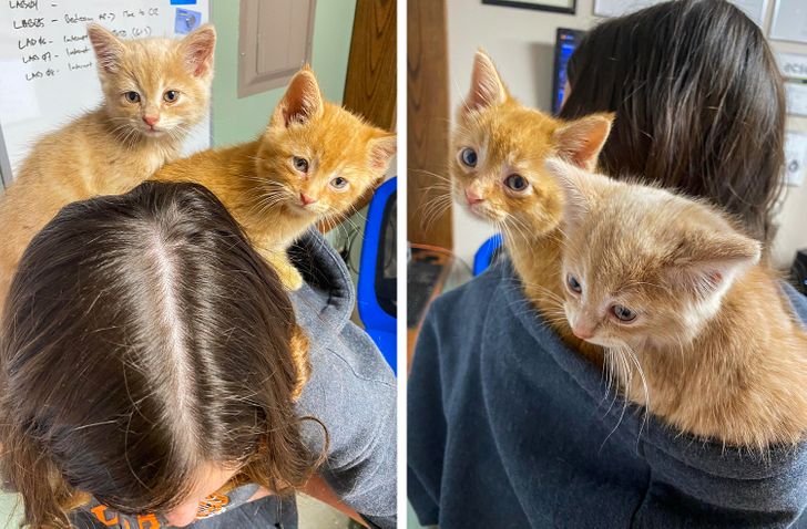 f8e24b5c5e91b5446a7f7eec9c