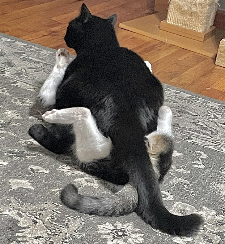 f8e594501f942b3f9b6525cf1f