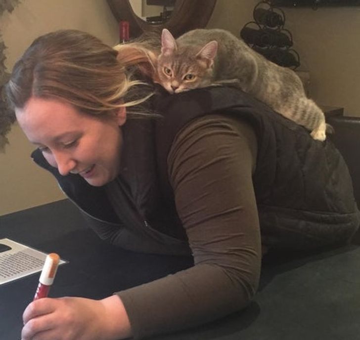 f8e60f5769b0d5d220aa8c7436