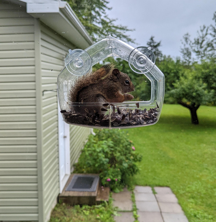 f8e7ed52d5b10378033ee3952e