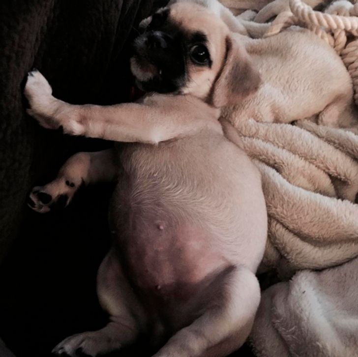 f8f7335eb8b0d933fae4890d35