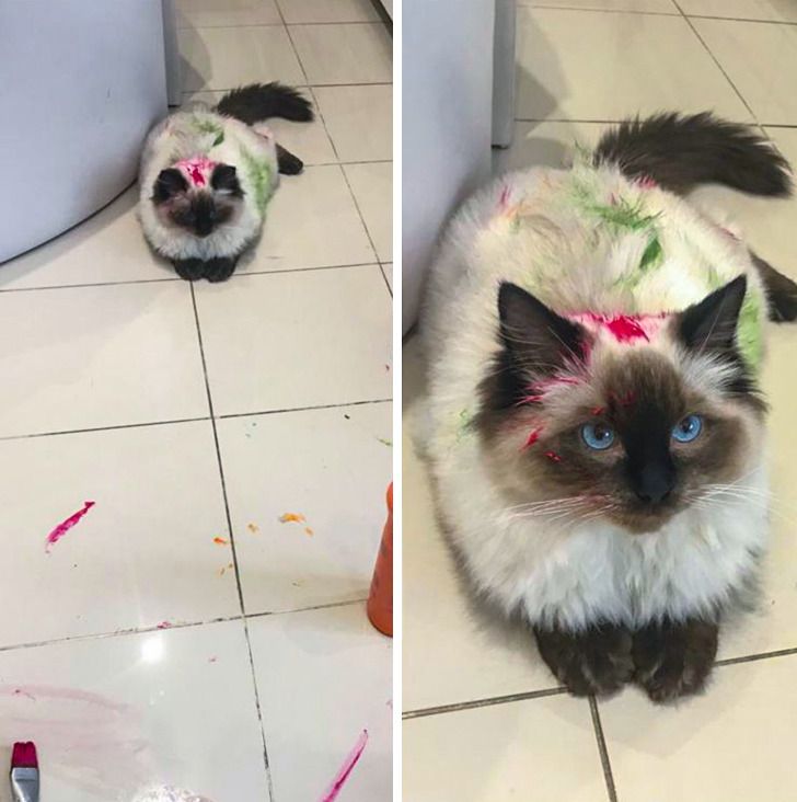 f900d659dc9ca273833d8a0e63