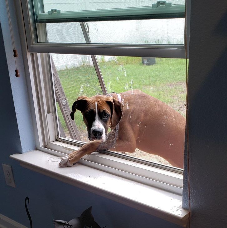 f914dc59b791b20a73e82928b7