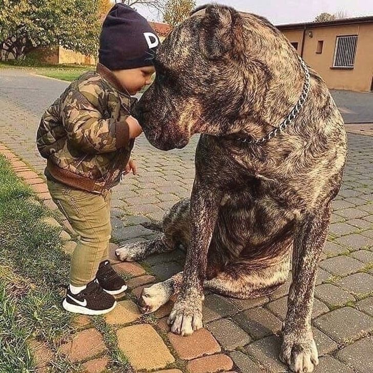 f9166754dfb82f8dc656561e41