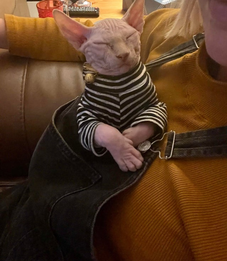 f923b255cda49f1bf6639e2784 f923b255cda49f1bf6639e2784