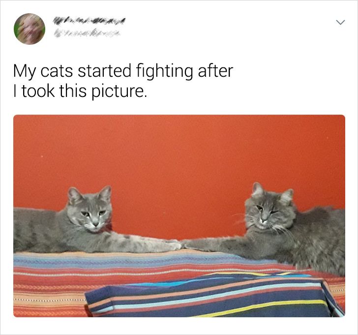 f9247a52aab498d7bedf37da3d