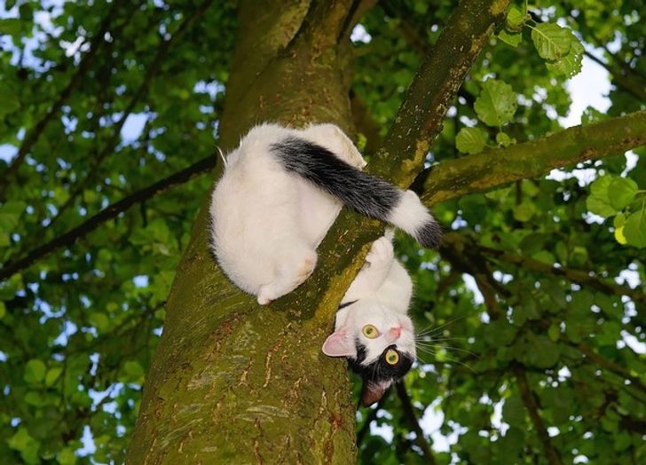 f92b32541a9ca29a405179291c