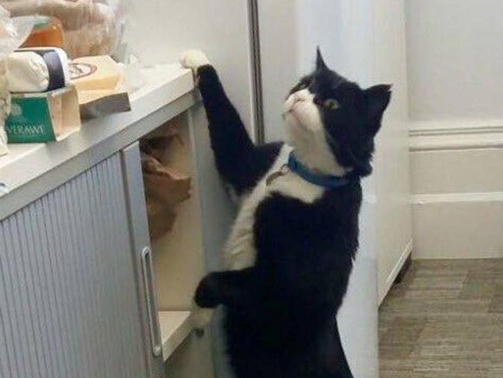 f92f795debbf94c8987e72eb78