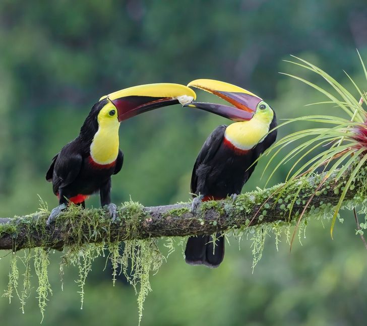 f939ba565ba07f3e4638bd5341