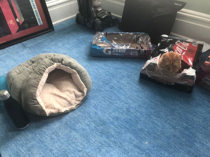 f941165fe0bbbe1a42abb6a628