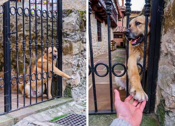 f9438454e28103cba4e7021d79