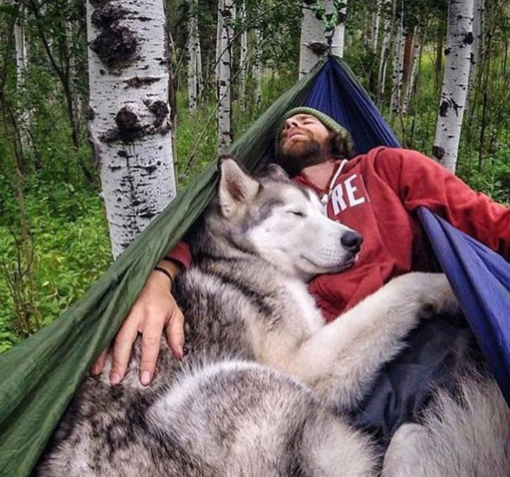 f9445457d78e7965480c737762