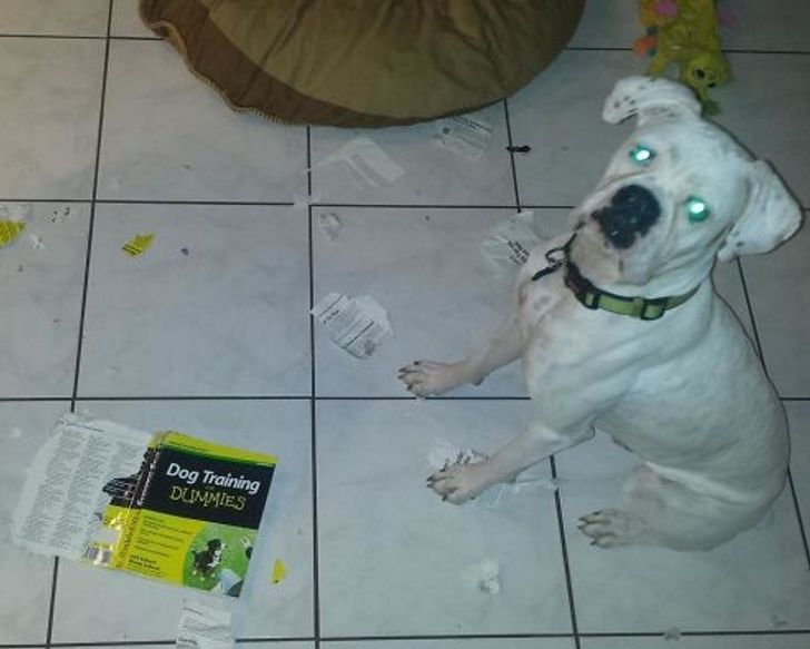 f947d451429c430811625c8e0f