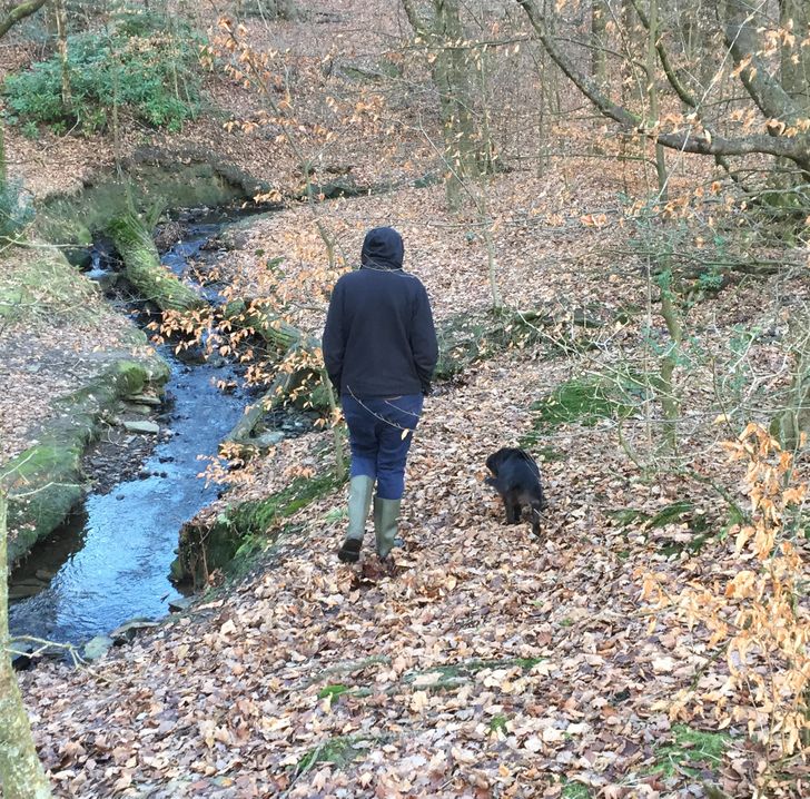 f948575dd8a87eedfaaedb288c