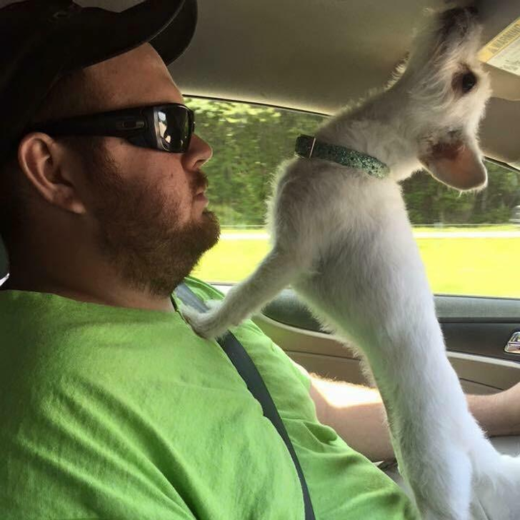 f94a3e5dfa98f50e3975beb67c