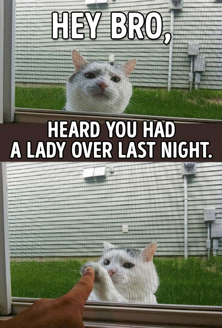 f9516d5aa8a76b26ab69c23df4