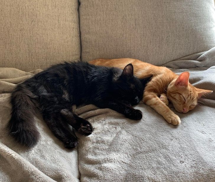 f95b905f2281e622c89ff138a1