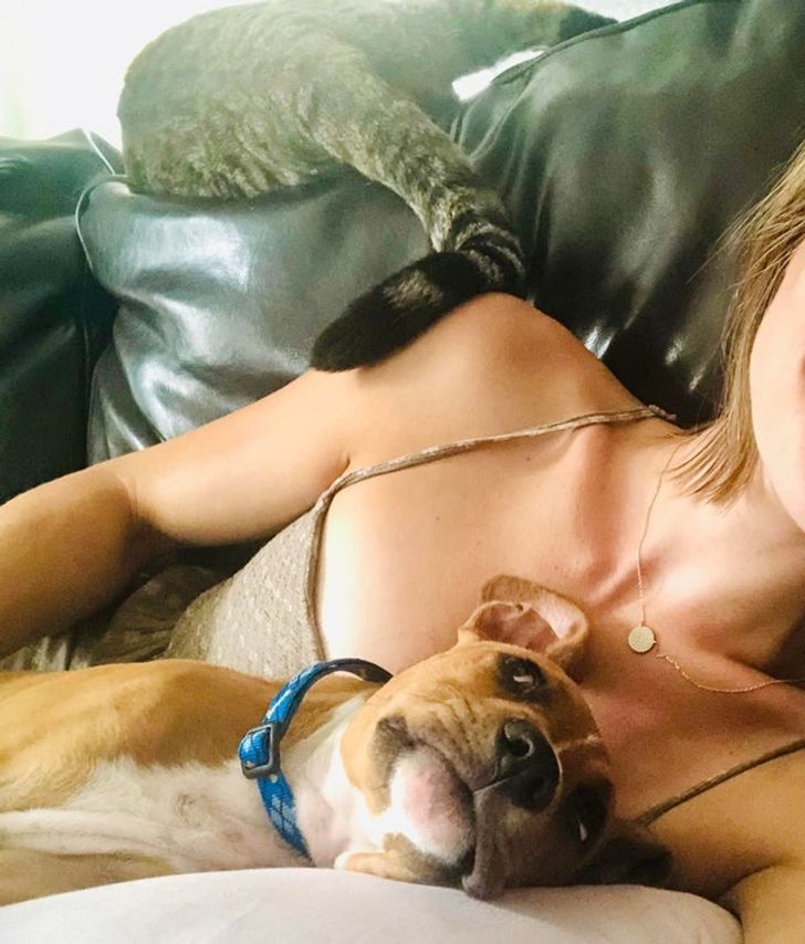 f965145f82b544ddd3e9fc5b53