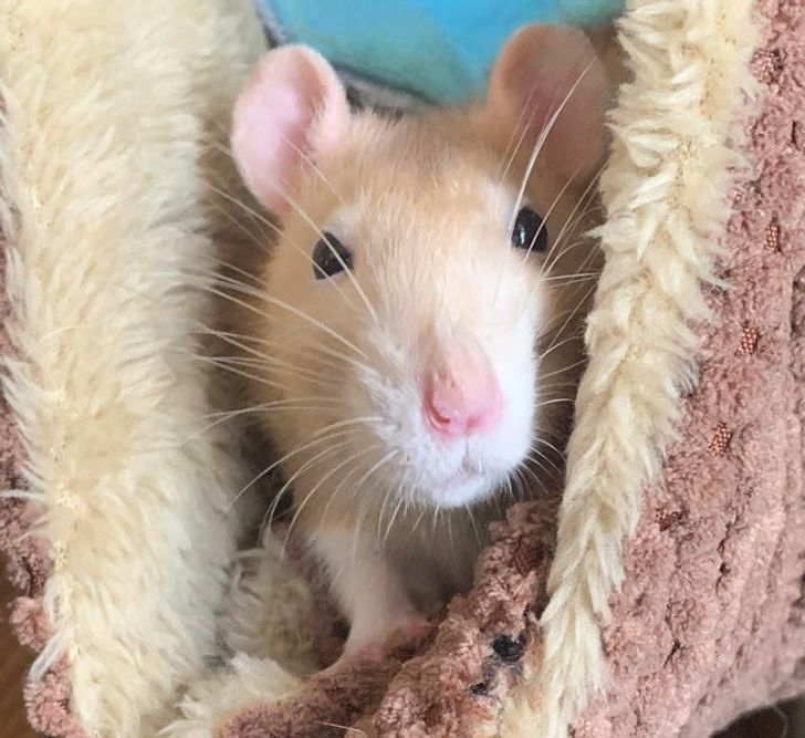 f977275ed9a6dc137a02ee7577