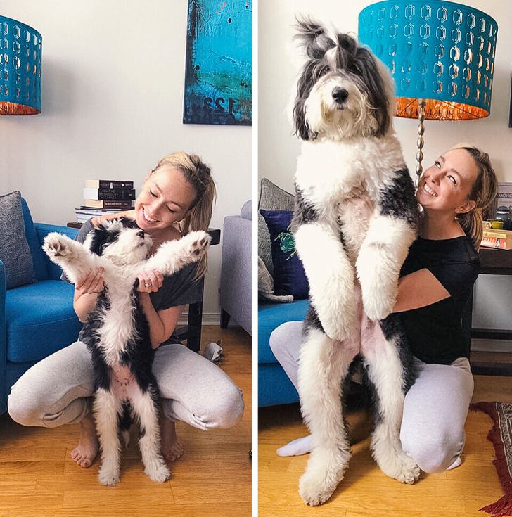 f97af15edd9c78e04da7b633fb