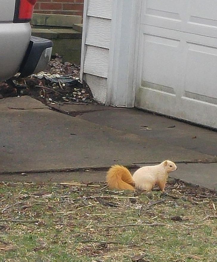 f97b83525598d4e30c6ce96512