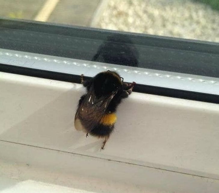 f98099587e87dec135a038ac86