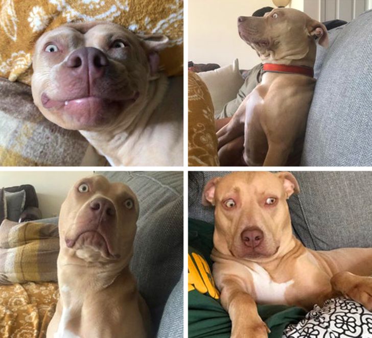 f983b956ceb220b813f36ab1b8