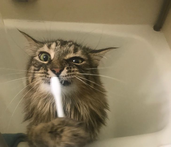 f999d754038c1d5afb8f706156 f999d754038c1d5afb8f706156