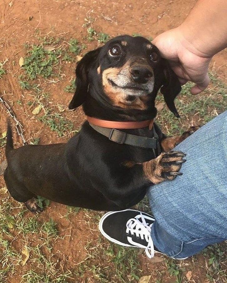 f99b195bf198f9200c5b1c4579