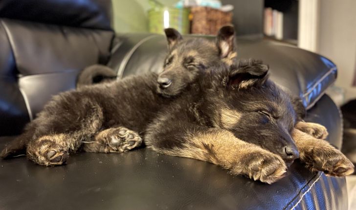 f99b5a54b9b883974ee908a521 f99b5a54b9b883974ee908a521