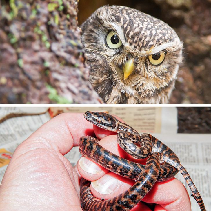 f99f575a208290ba4a588e1d2e