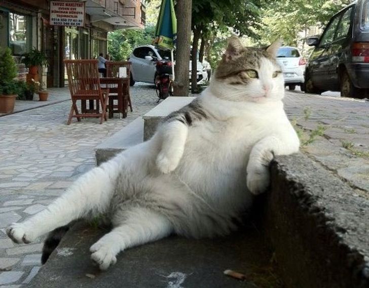 f9a43a5601a7cc1fb413aea169