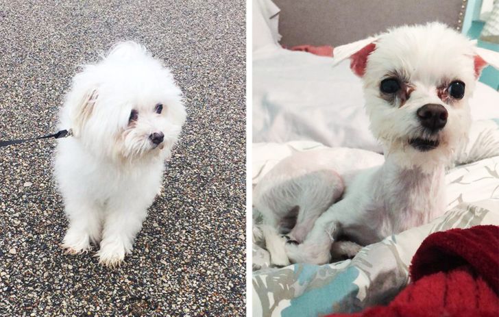 f9a6045600a160105aa2398bfa